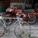 Bicicleta Cursiera Umbertto Dei